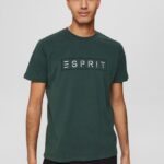 Esprit Jersey logo T-shirt, 100% cotton Men Teal Blue T-Shirts P0D0X734