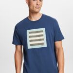 Esprit Jersey T-shirt with print, 100% cotton Men Grey Blue T-Shirts P0D0X585