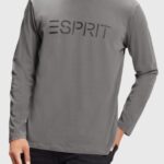 Esprit Logo print jersey t-shirt Men Medium Grey T-Shirts P0D0X863