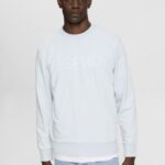 Esprit Logo print sweatshirt Men Pastel Blue Sweatshirts & Hoodies P0D0X678