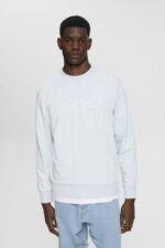 Esprit Logo print sweatshirt Men Pastel Blue Sweatshirts & Hoodies P0D0X678