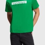 Esprit Matte shine logo applique t-shirt Men Green T-Shirts P0D0X617
