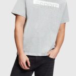 Esprit Matte shine logo applique t-shirt Men Light Grey T-Shirts P0D0X615