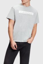 Esprit Matte shine logo applique t-shirt Men Light Grey T-Shirts P0D0X615
