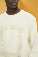 Esprit Sweatshirt with front print Men Ice Sweatshirts & Hoodies P0D0X711 - Image 3