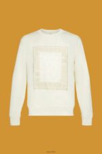 Esprit Sweatshirt with front print Men Ice Sweatshirts & Hoodies P0D0X711 - Image 5